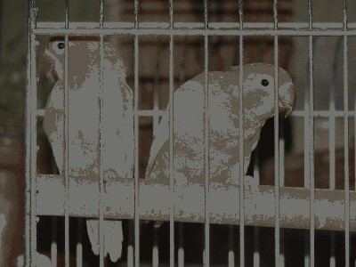P3.JPG