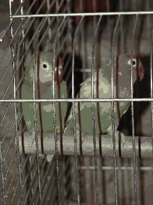P2.JPG