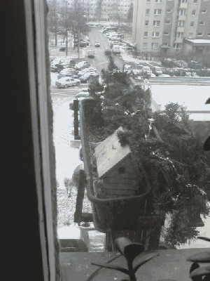 widok z okna.jpg
