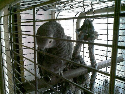20090902(001).jpg