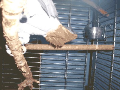 DSCN5229.JPG