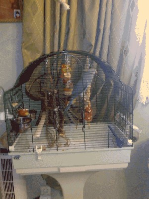 28102009177.jpg