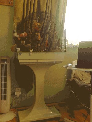 29102009180.jpg
