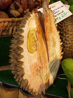 Durian - przekrój.jpg