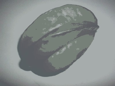 karambola.jpg