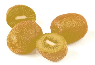 Kiwi.jpg