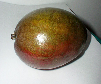 mango1.jpg