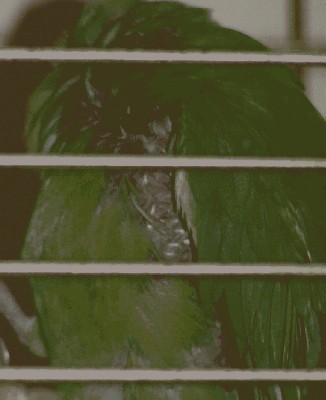 PICT2154.JPG