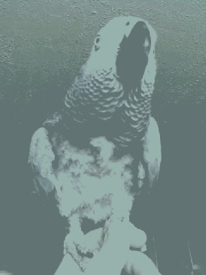ABCD0003.JPG