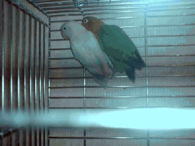 DSC00869.JPG