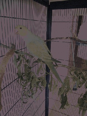 4802002894_dacbca4fb7.jpg