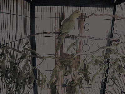 4801370567_e12750ede5.jpg