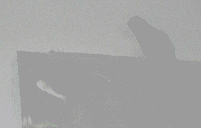 SDC14256.JPG