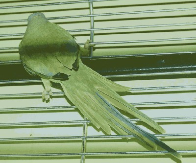 DSC_0299.JPG