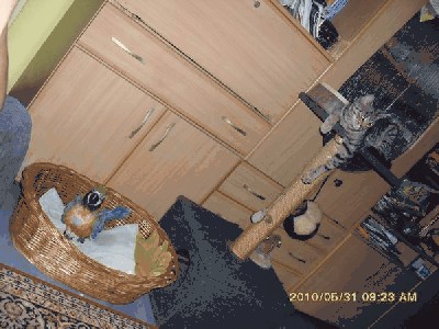 doda2.JPG