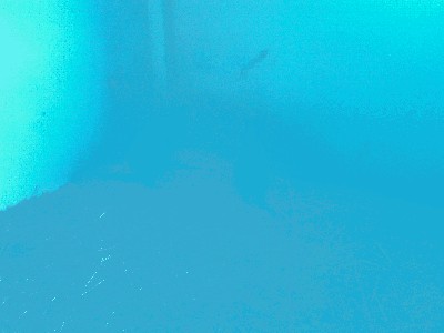 IMAG0491.jpg