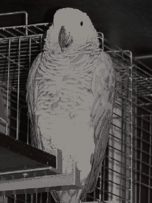 1390134255_2.jpeg