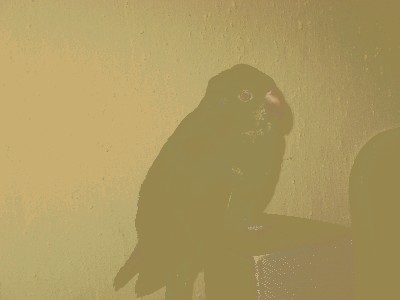 IMG_3885.JPG