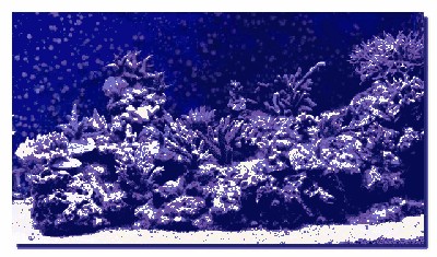 DSC_0074.jpg