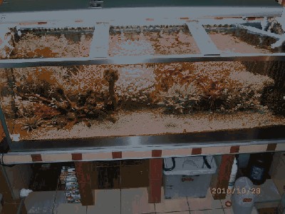 SL273303.JPG