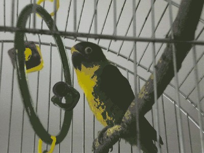 CIMG0102.JPG