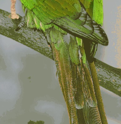 PICT2054.JPG