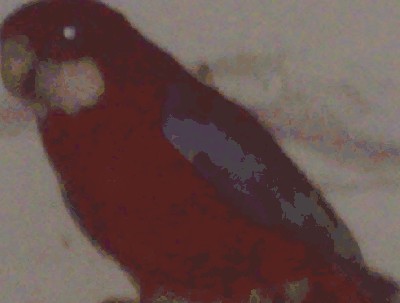 20110205033aa.JPG