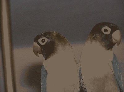 perso3.JPG