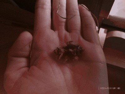 IMAG0024.jpg