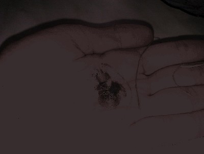 IMAG0023.jpg