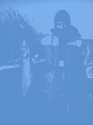 5,5kg.JPG