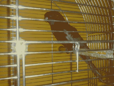 20120304366.jpg