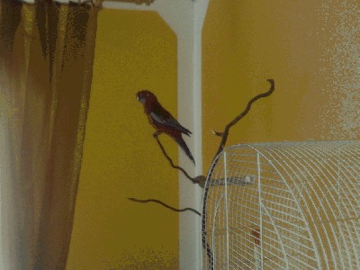 20120320384.jpg