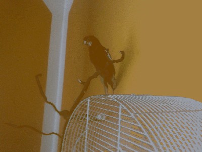 20120320386.jpg