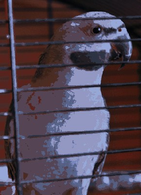 DSC_0314.JPG