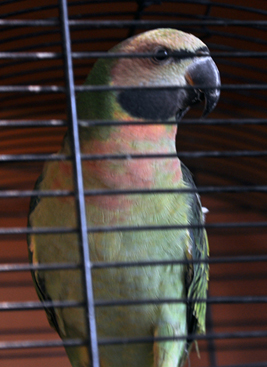 DSC_0312.JPG