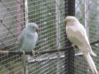 20121009221.jpg
