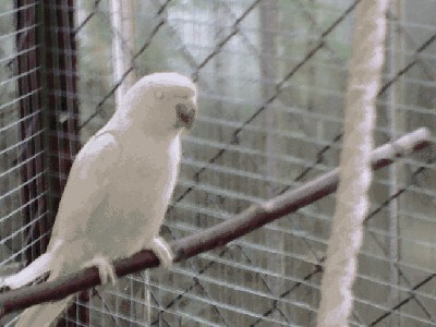 20121009218.jpg