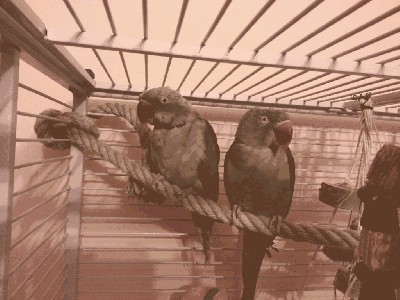 20121113_183639.jpg