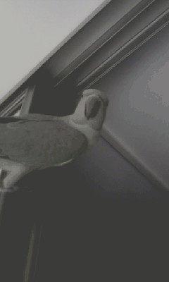 IMAG0178.jpg