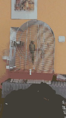 IMAG0739.jpg