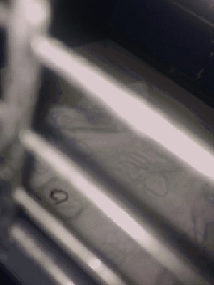 20130409358.jpg