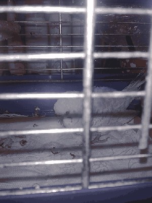 20130409360.jpg