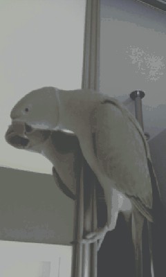 IMAG0283.jpg