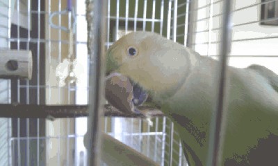 IMAG0286.jpg