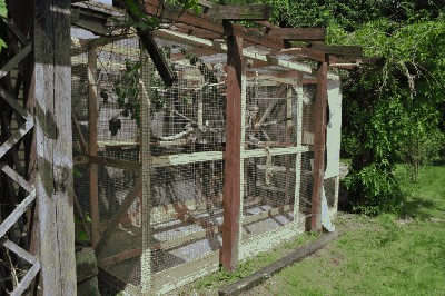 DSC_0734.JPG