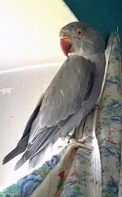 WP_20130719_011.jpg