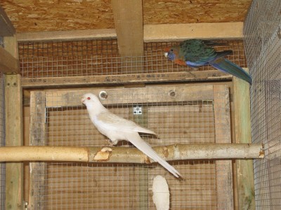 IMG_3563.JPG