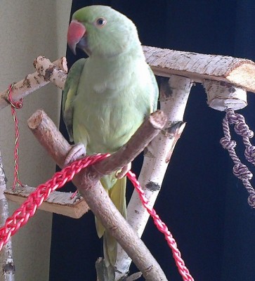 27102013348.jpg