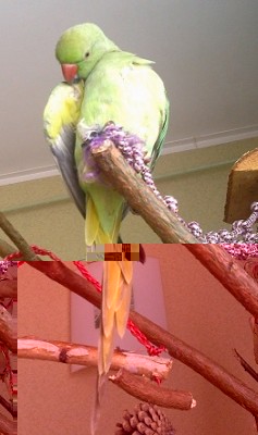 25102013323.jpg